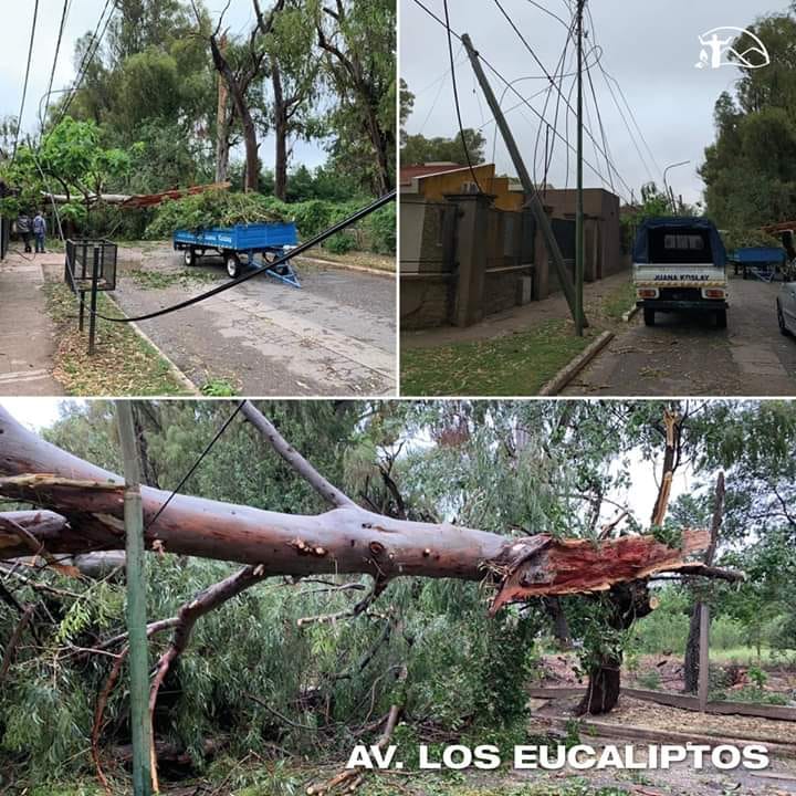 🚧 Corte de tránsito por trabajo con árboles caído a causa del temporal.