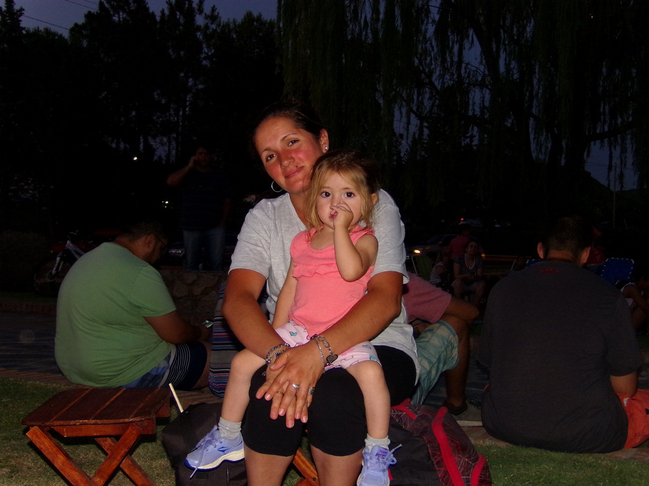 La magia del “Arbol de tus Sueños” convocó a cientos de familias