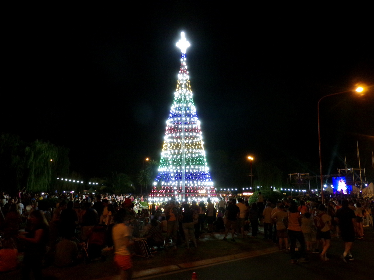 La magia del “Arbol de tus Sueños” convocó a cientos de familias