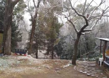 La nieve hizo su paso