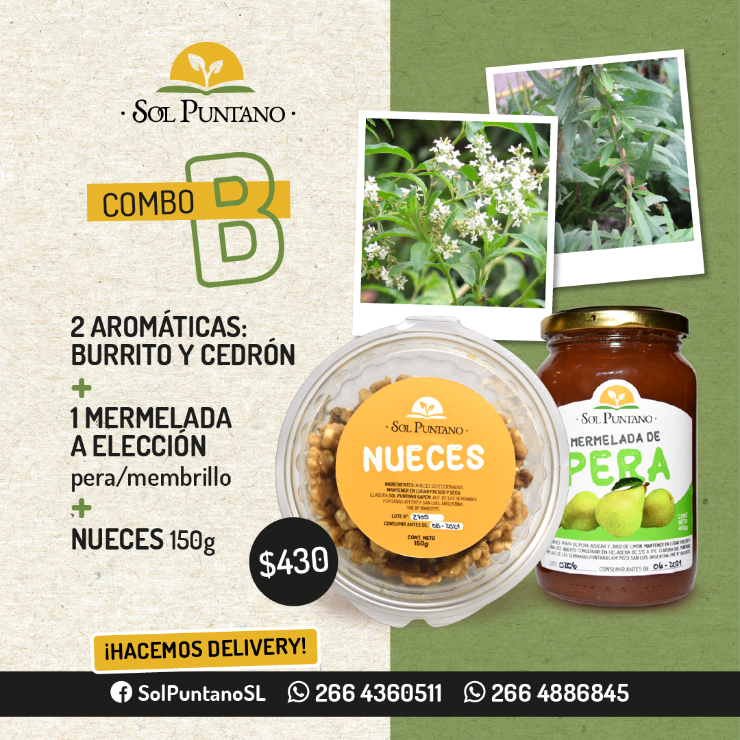 Sol Puntano incluye nuevos combos para los vecinos de Juana Koslay, La Punta y San Luis