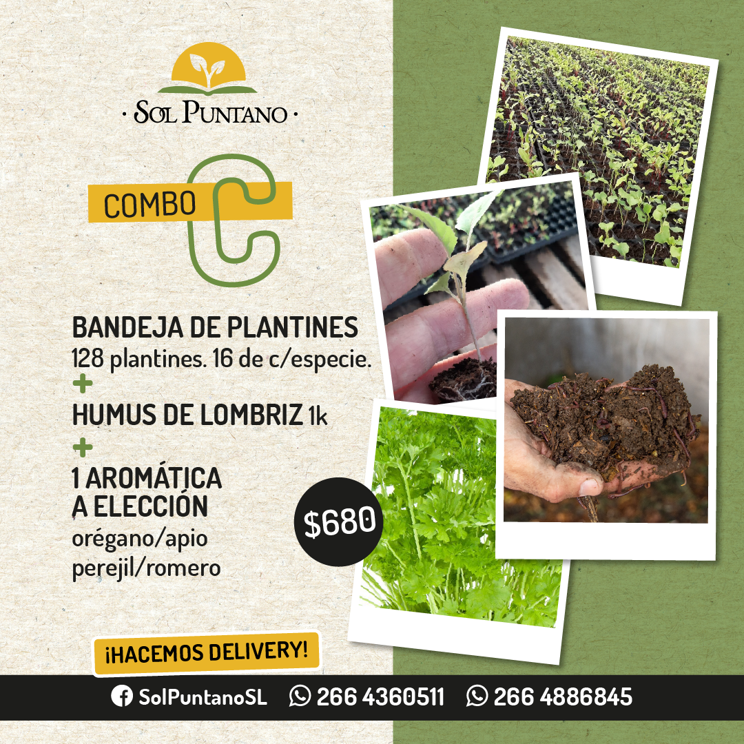 Sol Puntano incluye nuevos combos para los vecinos de Juana Koslay, La Punta y San Luis