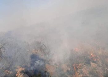 Incendio Forestal entre Potrero de los Funes y El Volcán,