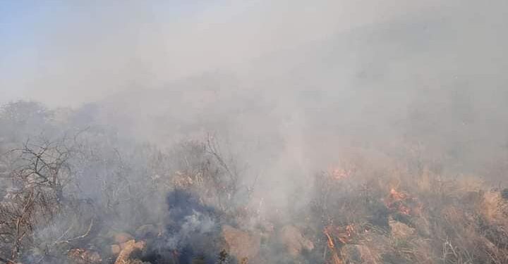 Incendio Forestal entre Potrero de los Funes y El Volcán,