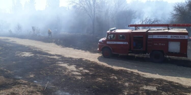 Sofocaron un incendio de malezas de importantes dimensiones