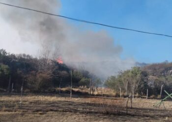 EL VOLCÁN: bomberos sofocaron un incendio forestal