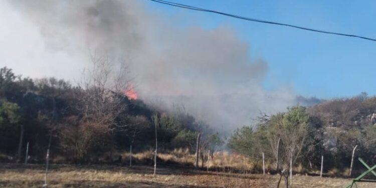 EL VOLCÁN: bomberos sofocaron un incendio forestal