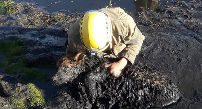 Un rescate especial en el dique Cruz de Piedra