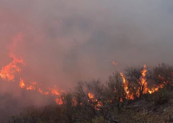 Incendio en El Volcán. Uno de los frentes avanza hacia la zona del perilago Cruz de Piedra