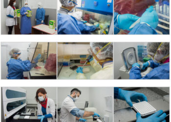 Aumentan la capacidad de testeo del Laboratorio provincial y reducen el uso de reactivos