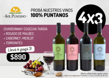 Sol Puntano lanza una oferta de vinos con entrega en domicilio en Juana Koslay
