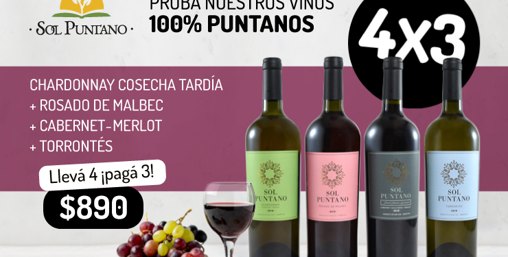 Sol Puntano lanza una oferta de vinos con entrega en domicilio en Juana Koslay