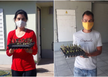 Esta semana entregarán bandejas hortícolas de “Sol Puntano” a clientes de Juana Koslay y La Punta