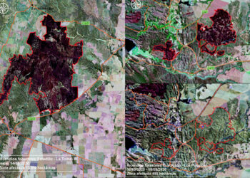 En los últimos incendios, el fuego arrasó cerca de 14.000 hectáreas