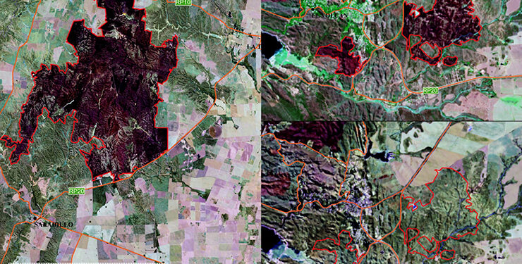 En los últimos incendios, el fuego arrasó cerca de 14.000 hectáreas
