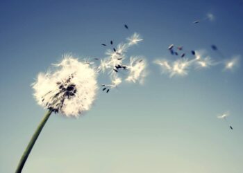 Algo de viento nos acompaña este martes en Juana Koslay