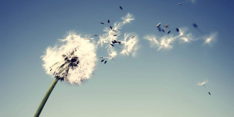 Algo de viento nos acompaña este martes en Juana Koslay