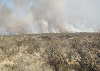 El fuego no da tregua en un incendio en Donovan
