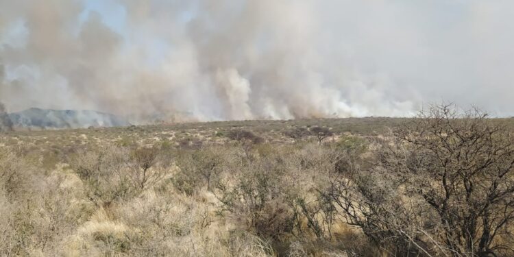 El fuego no da tregua en un incendio en Donovan