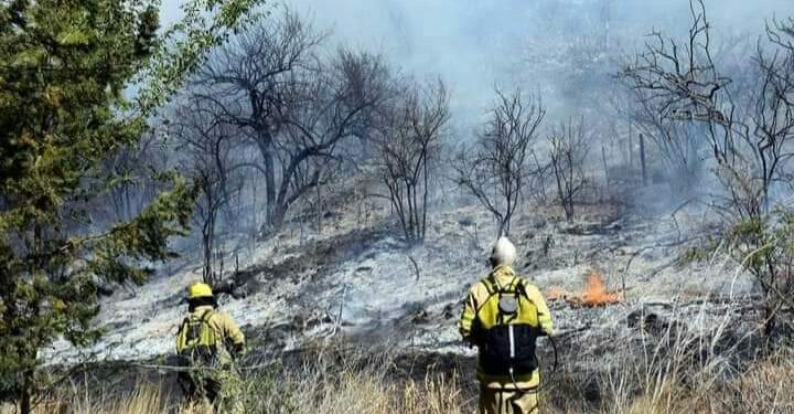Incendios en Juana Koslay fueron controlados