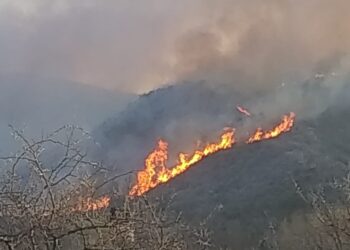 Ahora: Incendio en los PUQUIOS.