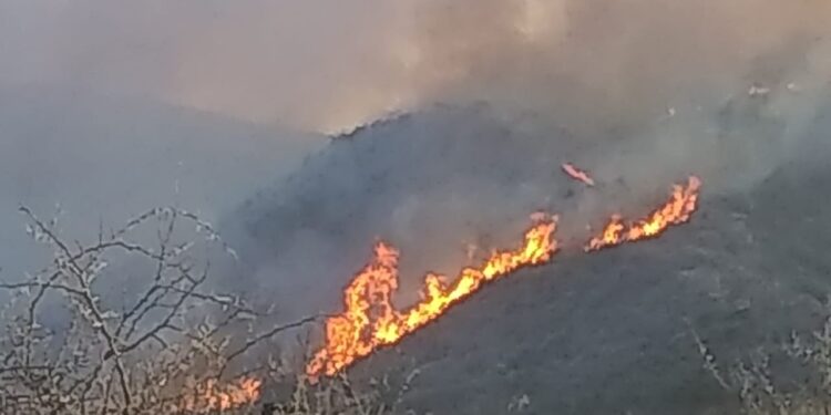 Ahora: Incendio en los PUQUIOS.