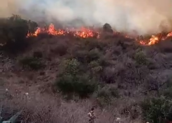 EN VIVO. Incendio al pie de la ermita de Shoenstatt en Juana Koslay.