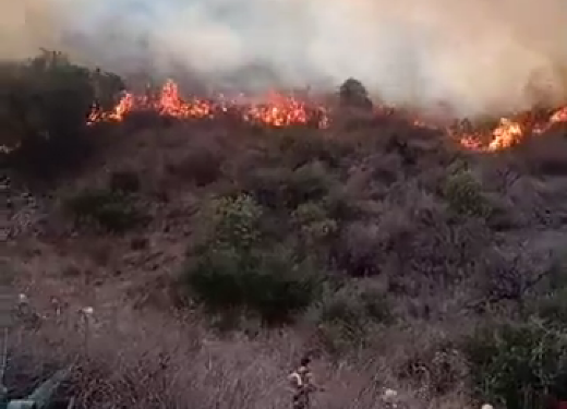 EN VIVO. Incendio al pie de la ermita de Shoenstatt en Juana Koslay.