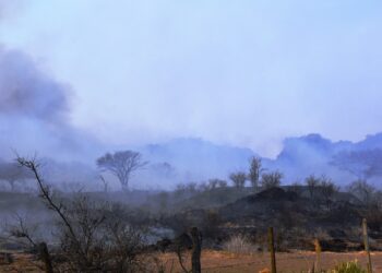 Redujeron la magnitud del incendio en Los Puquios