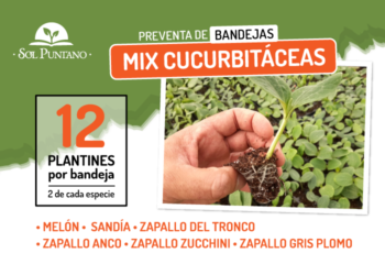 Nuevo producto que Sol Puntano para los vecinos de Juana Koslay