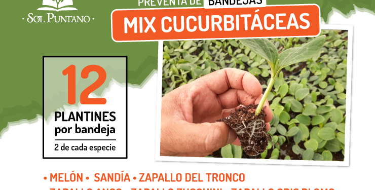 Nuevo producto que Sol Puntano para los vecinos de Juana Koslay