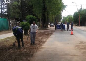 La municipalidad continúa con las tareas de limpieza y mantenimiento de calles