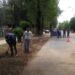 La municipalidad continúa con las tareas de limpieza y mantenimiento de calles