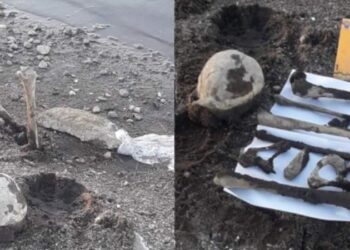 Piden que analicen los huesos hallados en Cruz de Piedra