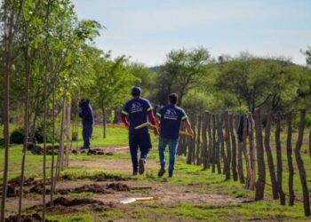 Avanza el Plan de Forestación en Juana Koslay
