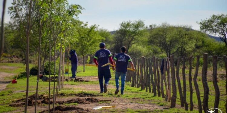Avanza el Plan de Forestación en Juana Koslay