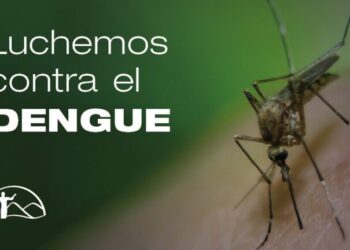 Dengue: El municipio de Juana Koslay recuerda acciones preventivas