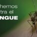 Dengue: El municipio de Juana Koslay recuerda acciones preventivas