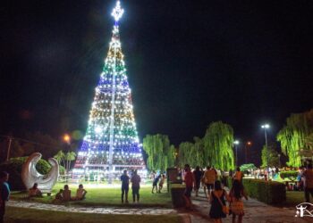 Encendido del Árbol de tus Sueños