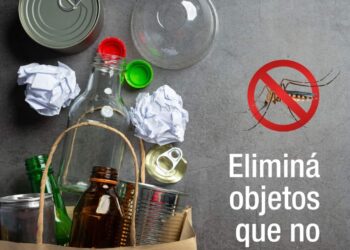 Dengue: La Municipalidad recuerda eliminar posibles criaderos de mosquitos