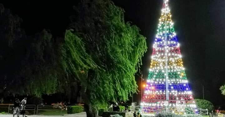 Una noche por ahora está espléndida, aunque el pronóstico dice que comenzarán ráfagas de viento fuerte