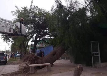 La tormenta pasó haciendo daño.