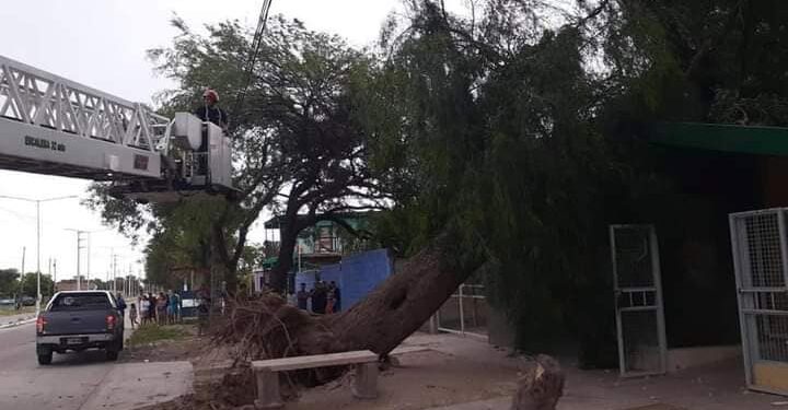 La tormenta pasó haciendo daño.