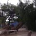 La tormenta pasó haciendo daño.