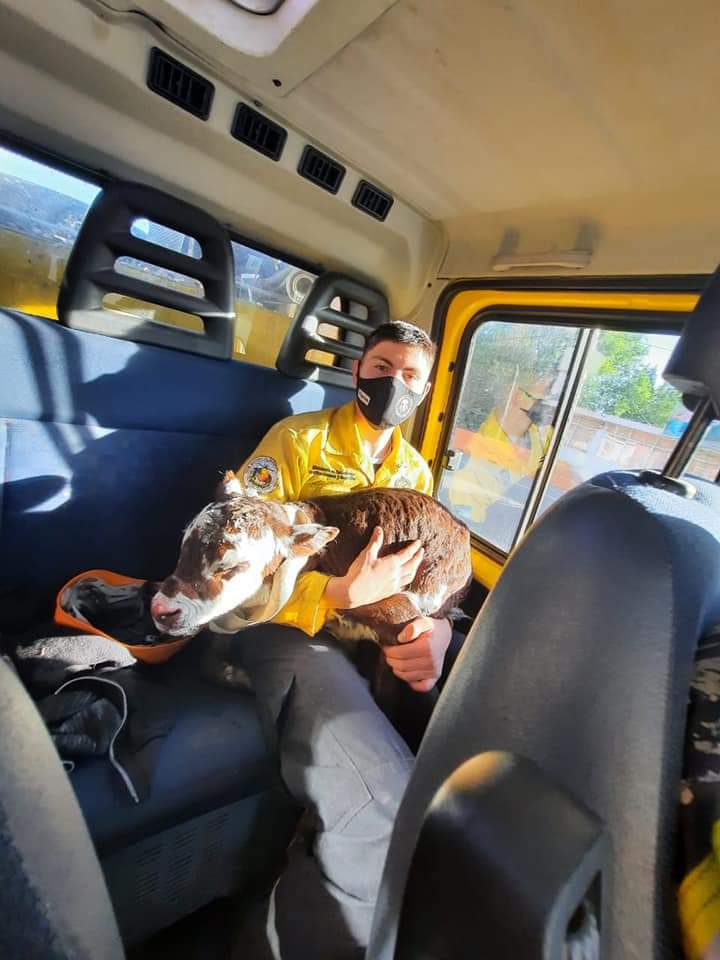 UN RESCATE MUY PECULIAR.