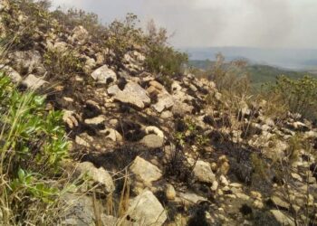 Incendio en la zona de la Cuesta del Gato