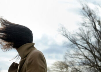 El viento del sur alcanzó los 117 kilómetros por hora en Donovan