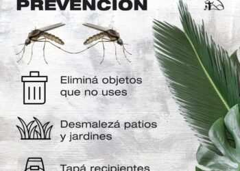 EL MUNICIPIO DE JUANA KOSLAY REFUERZA LA CAMPAÑA CONTRA EL DENGUE
