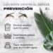 EL MUNICIPIO DE JUANA KOSLAY REFUERZA LA CAMPAÑA CONTRA EL DENGUE
