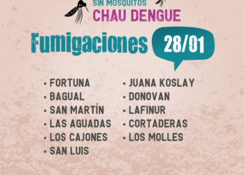 Fumigan contra el mosquito del dengue este 28 y 29